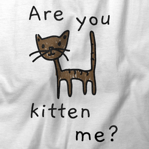Are You Kitten Me?-The Sai Life